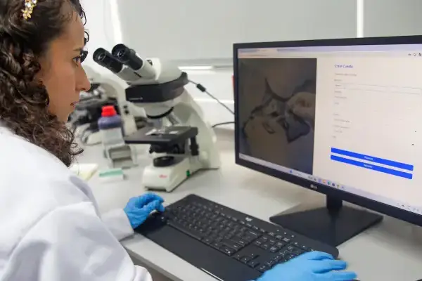 Persona mirando computadora que tiene instalado el sistema de diagnóstico